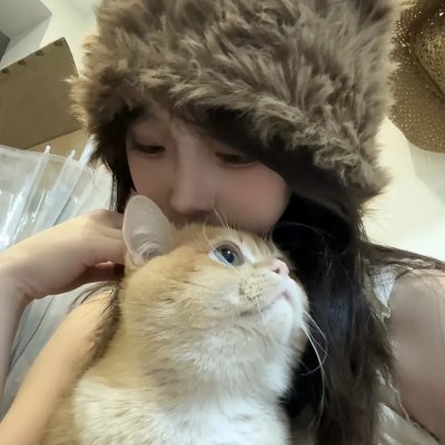 京华春梦粤语
