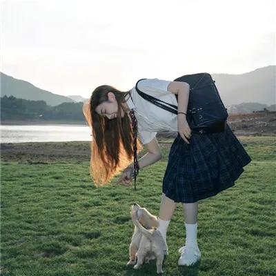 公牛费迪南
