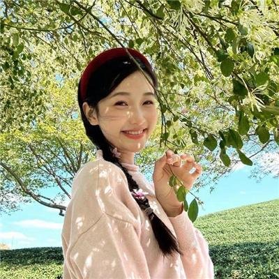 维也纳之舞