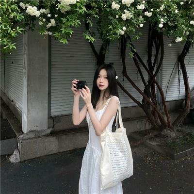 高速路上一只猫