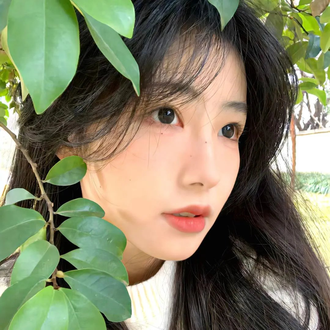 离散与恒留
